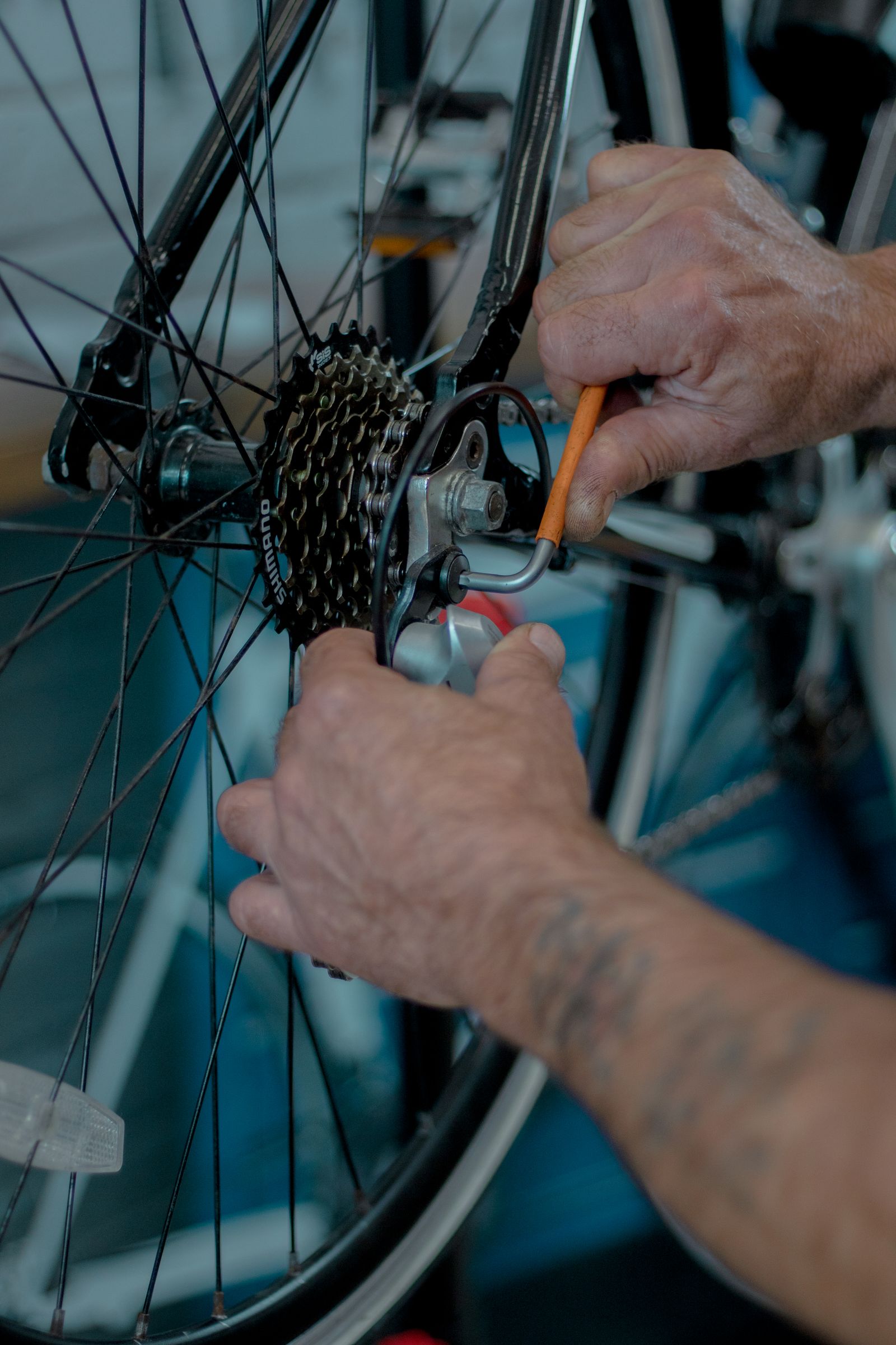 Hands carefully adjusting the rear wheel and gears of a bicycle